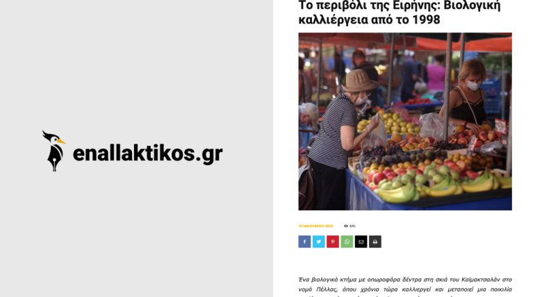 Απόσπασμα άρθρου στη ψηφιακή εφημερίδα enallaktikos.gr
